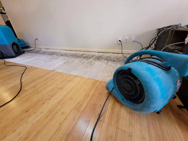 Professional Water Damage Repair technician working in Fayetteville, PA